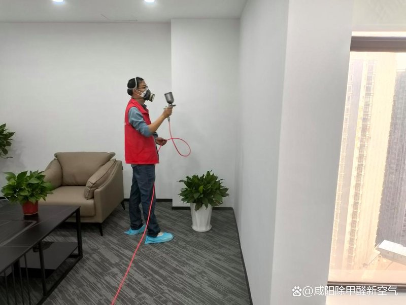 除甲醛行业趋势解读：如何挑选靠谱的除甲醛公司
